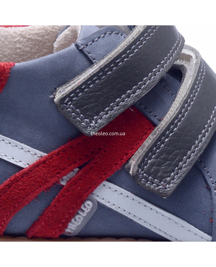 Ботинки для мальчиков Theo Leo серого цвета, Цвет: сірий, Размер: 18, изображение 3